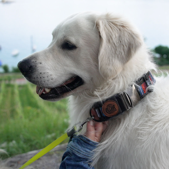BERNINA n&auml;ht mit Nipnaps - Hundehalsband Dog*ee image number